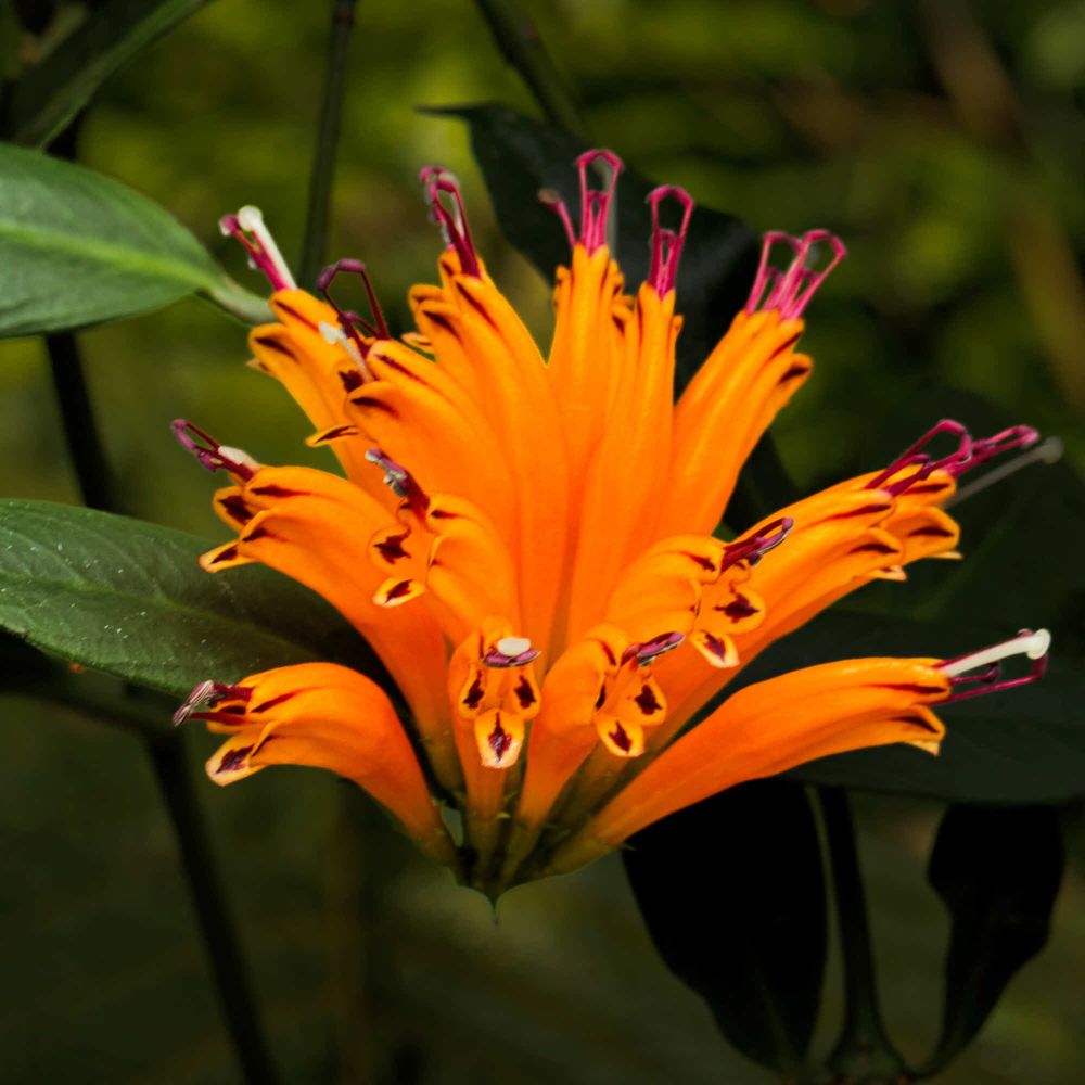 15 Rang 107 Keller Georg